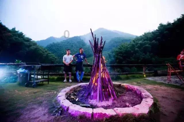 探索世界,尽在元旦是阳历几月几号?蜗牛问答平台