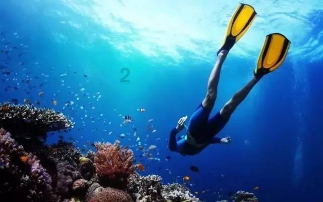 09年出生今年多大?知识星球,深入探索09年出生今年多大?领域的专业社群